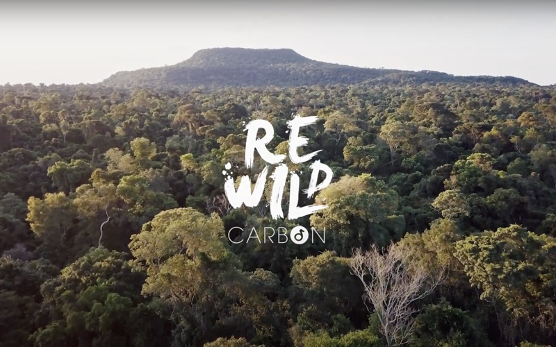 Becoming leaders in Sustainable Finance