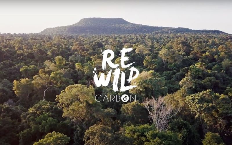 Rewild Carbon Impact Report: Oak’s ESG commitment in action